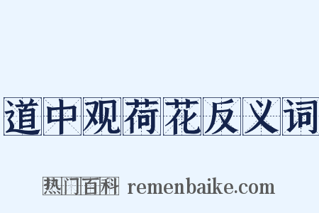 道中观荷花反义词是什么意思的图片